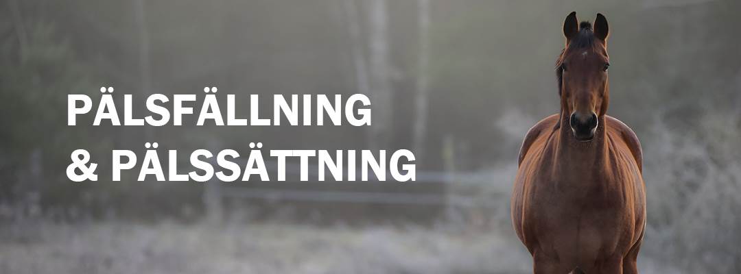 Pälsfällning-pälssättning-1080x400-int.jpg