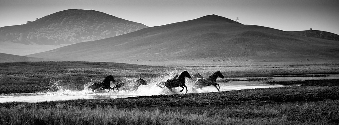 vatten-1080x400-INT.jpg