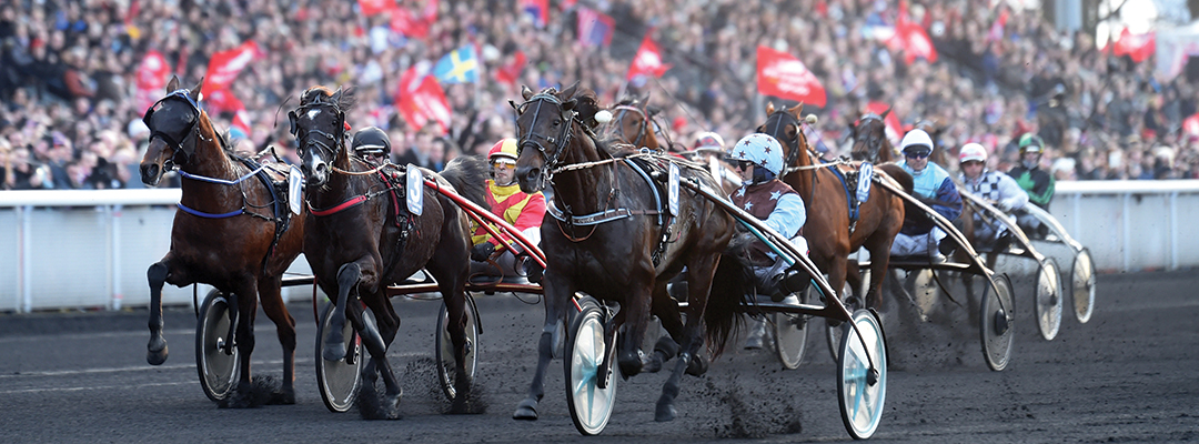 hogpresterande-hasten-1080x400-INT.jpg